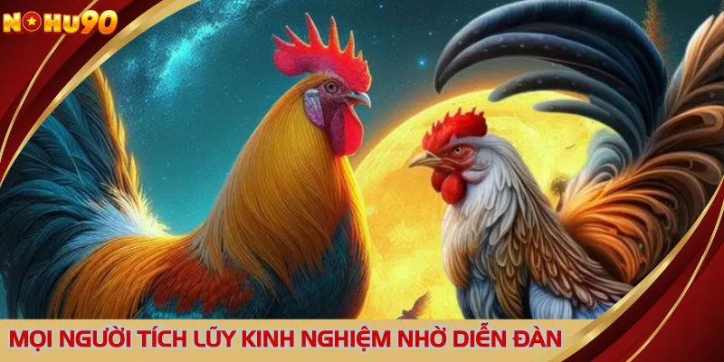 Mọi người tích lũy kinh nghiệm nhờ diễn đàn