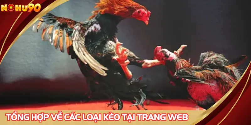 Tổng hợp về các loại kèo tại trang web